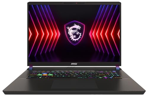 MSI Vector 17 HX Gaming Laptop, 17,0" QHD+ 240Hz, Intel Core i9-13980HX, NVIDIA GeForce RTX 4080, 32GB DDR5, 1TB SSD, Windows 11 Home, QWERTZ Tastatur, A13VHG-813, Cosmos Gray