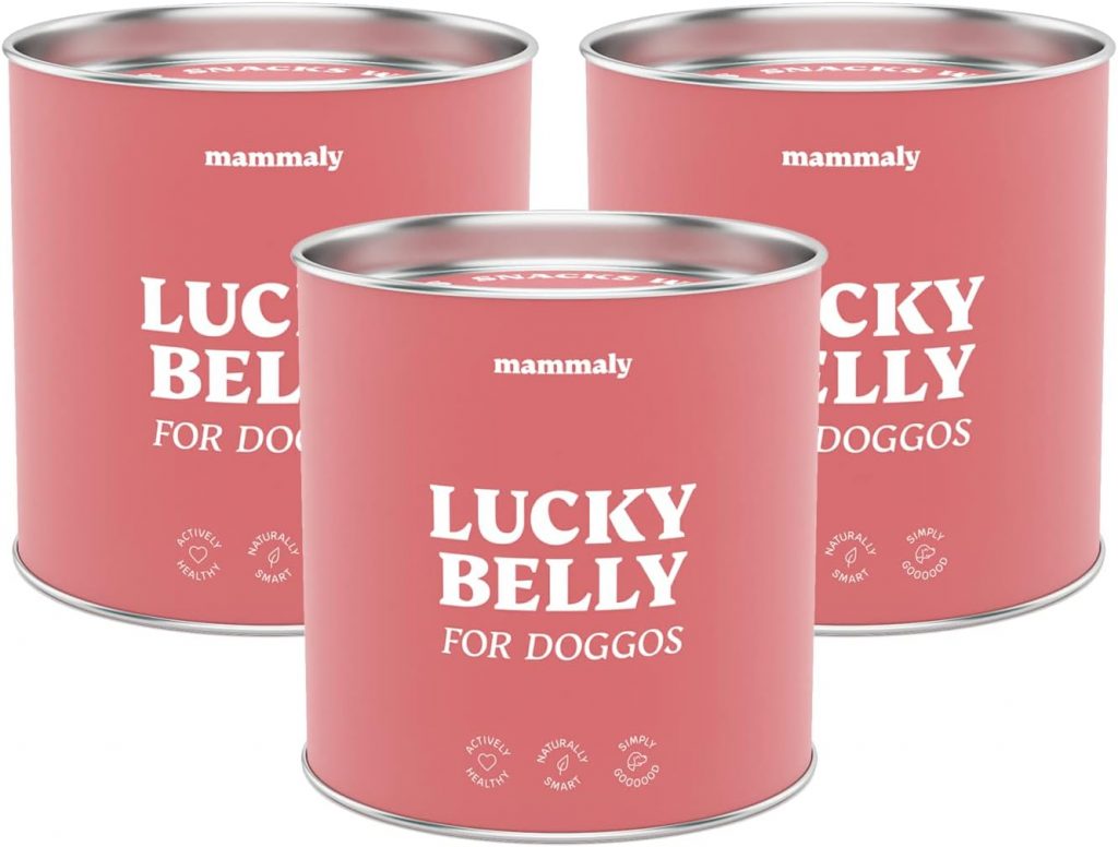 PREISFEHLER.SHOP BlackWeeks: 9-in-1 Probiotika für Deinen Hund – Lucky Belly 330 Drops (975g) von mammaly – Bei Magenprobleme & Verdauungsprobleme für Magen-Darm, Verdauungssnacks bei Gras fressen & Kotfresser Leckerlies Pira!te-Deals mit Huhn84.77 statt 132.97 €⏩️ https://www.amazon.de/PREISFEHLER.SHOP/dp/B0BFFQPQ8M?tag=preisfehlerheute-21