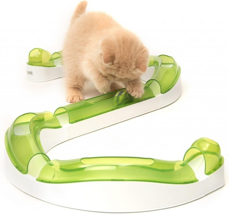 Catit Spielschiene, Wave Circuit, interaktives Spielzeug für Katzen12,99€ statt 24,99€➡️ https://www.amazon.de/dp/B00D3NI7ZG/?tag=preisfehlerheute-21