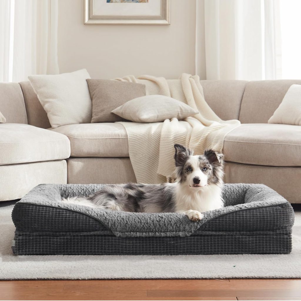 🤴 FURTIME Orthopädisches Hundebett Mittelgroße Hunde, Memory Foam Hundekorb Grosse Hunde, Abnehmbar und Waschbar, rutschfeste Hundekörbchen, Hohem Rand Hundesofa, 89 x 64 x 18cm37,99€ statt 55,99€ - 33,00 % 🔥🚚 Verkauft von simikee und Versand durch Amazon243 Bewertungen: 4.5 / 5.0 ⭐️⭐️⭐️⭐️⭐️🛒 zu Amazon https://www.amazon.de/dp/B0F23W976Y/?amp%3Btag=preisfehlerheute-21&%3Bamp%3Bth=1&%3Bamp%3Bpsc=1&tag=preisfehlerheute-21