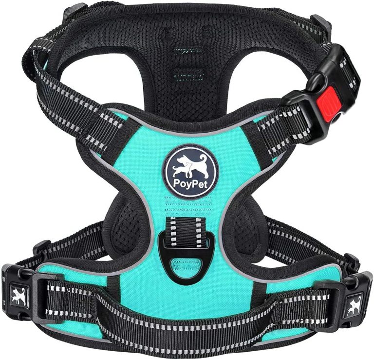 PoyPet Keine Pull Hundegeschirr Front Reflektierende Pet Weste für Hunde mit Einfache Kontrolle Griff und Rückseite perfekt für den täglichen Training, Walken, Running(Mint Blau,XS)16,14€ statt 18,99€➡️ https://www.amazon.de/dp/B09BTQ78D9/?tag=preisfehlerheute-21