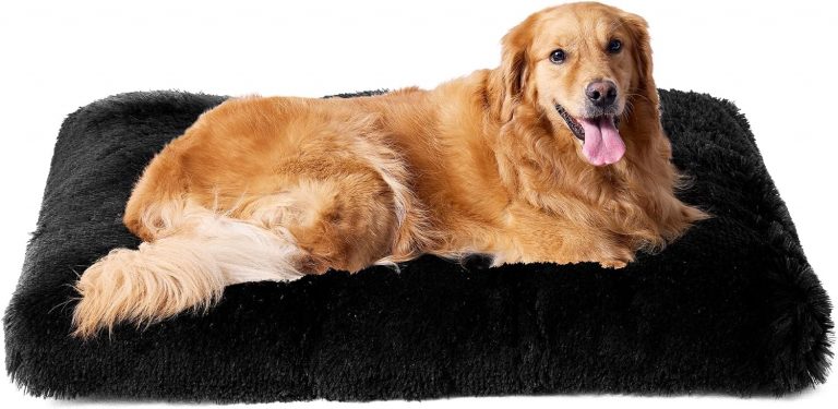 EHEYCIGA Flauschig Hundebett Grosse Hunde XL, Hundekissen Waschbar, Kuschelig rutschfest Hundematte mit Langem Plüsch, Schwarz, 112x85cm28,49€ statt 37,99€➡️ https://www.amazon.de/dp/B0CFDR71YZ/?tag=preisfehlerheute-21