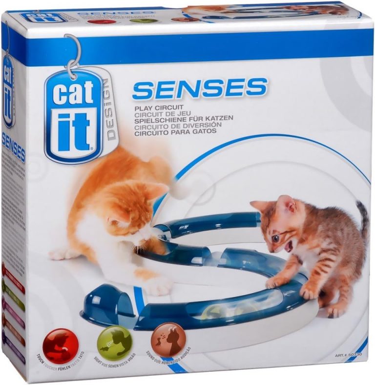 🤴 Catit Design Senses Spielschiene, Play Circuit, inklusive Ball, für Katzen, 1 Stück (1er Pack)12,49€ statt 19,98€ - 38,00 % 🔥🚚 Verkauft durch Amazon und Versand durch Amazon20,255 Bewertungen: 4.4 / 5.0 ⭐️⭐️⭐️⭐️🛒 zu Amazon https://www.amazon.de/dp/B001LWRFW2/?amp%3Btag=preisfehlerheute-21&tag=preisfehlerheute-21