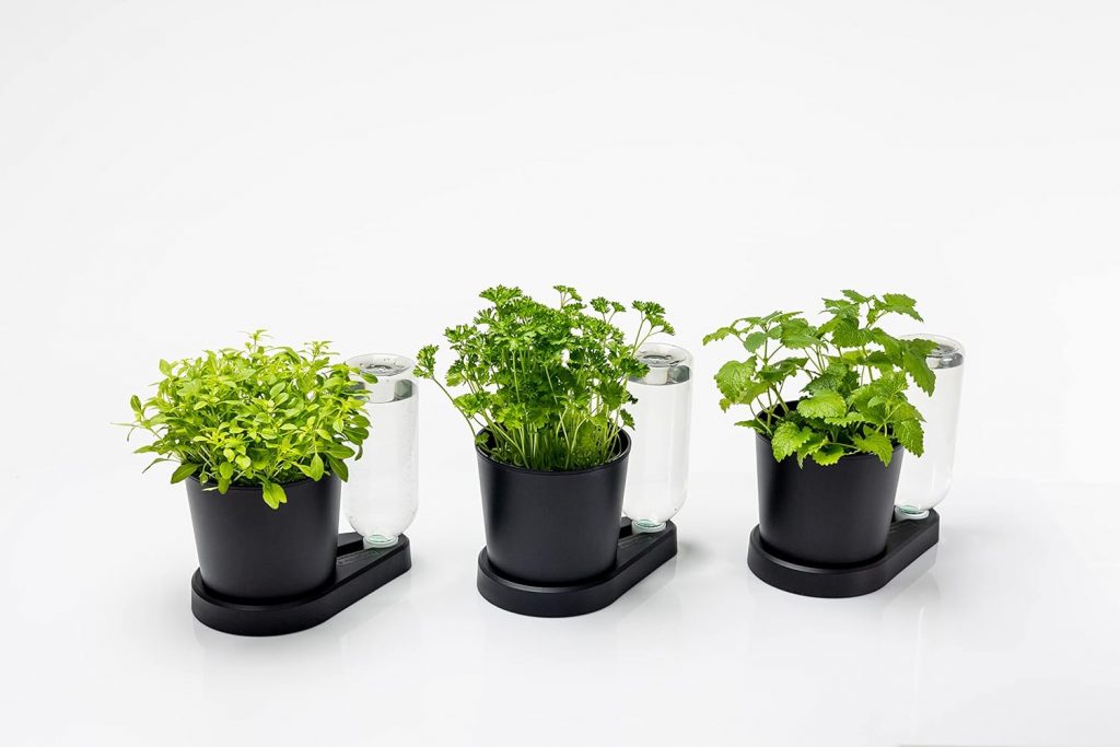 greevi kräuterheld 3er Set | Kräutertöpfe mit Selbstbewässerungssystem | Made in Germany | Kunststoff (Standard, schwarz)33,56€ statt 41,95€➡️ https://www.amazon.de/dp/B0BXSR14RN/?tag=preisfehlerheute-21