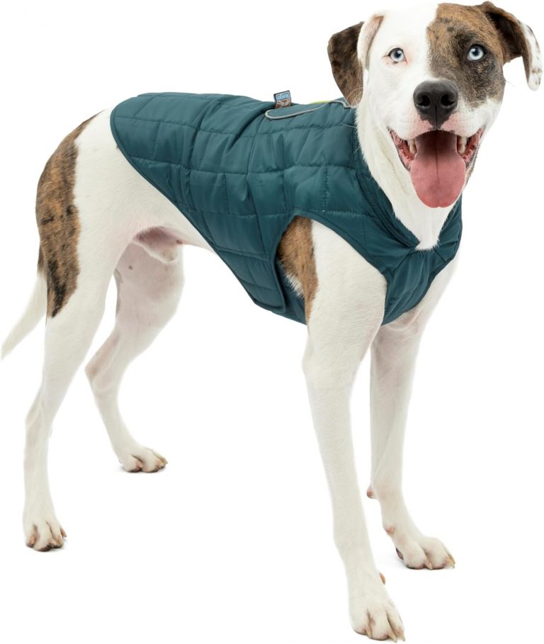 🤴 Kurgo K01865 Loft Hunde Jacke und Wendemantel - Winter Jacke für Hunde, XL, Tintenblau / Meerglas20,60€ statt 44,27€ - 54,00 % 🔥🚚 Verkauft durch Amazon und Versand durch Amazon7,024 Bewertungen: 4.2 / 5.0 ⭐️⭐️⭐️⭐️🛒 zu Amazon https://www.amazon.de/dp/B01LWAMS8H/?amp%3Btag=preisfehlerheute-21&amp%3Bth=1&amp%3Bpsc=1&tag=preisfehlerheute-21
