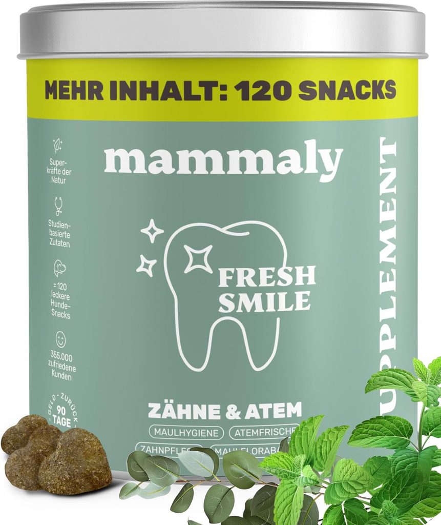 10-in-1 Zahnpflege Leckerli für Hunde - Fresh Smile 120 Snacks (350g) von mammaly - Gegen Mundgeruch, Zahnstein mit Pfefferminz, Seealge, Vitamin C, Petersilie u. v. m. für Maulhygiene, Mundpflege34,19€ statt 49,99€➡️ https://www.amazon.de/dp/B09YCXVSPC/?tag=preisfehlerheute-21