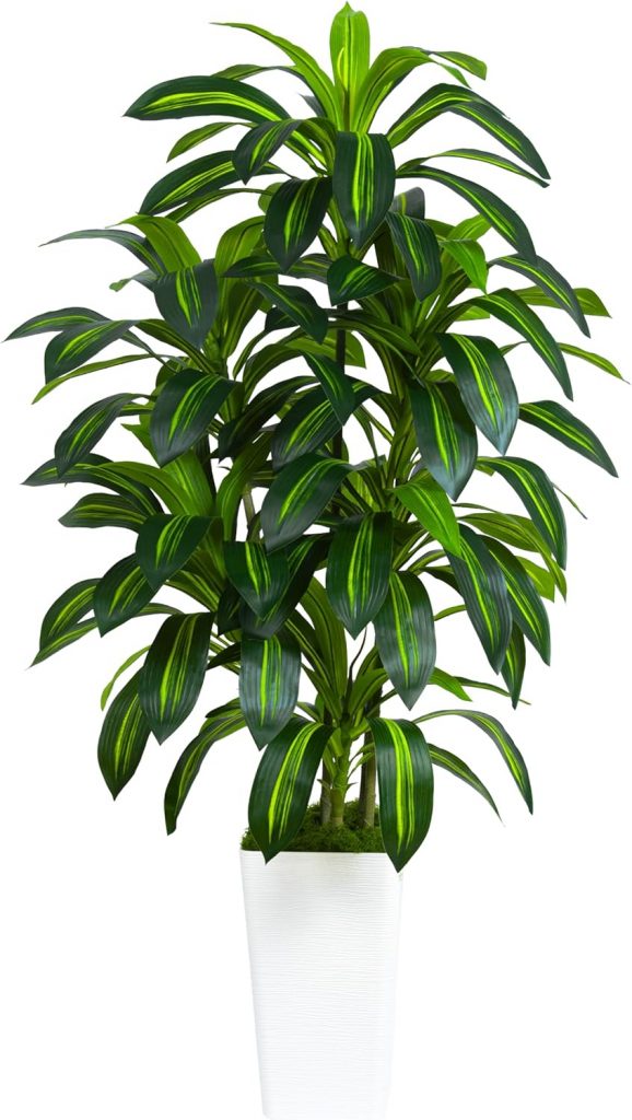 PREISFEHLER.SHOP BlackWeeks: Künstliche Drachenbaum Pflanze Pirate-Dea;ls 150 cm kunstpflanzen groß Kunstpflanze für den Innenbereichmit weißem Übertopf künstliche Pflanzen im Topf für drinnen und draußen Haus Büro Garten Moderne Dekoration84.99 statt 99.99 €⏩️ https://www.amazon.de/PREISFEHLER.SHOP/dp/B0DRNXGR38?tag=preisfehlerheute-21