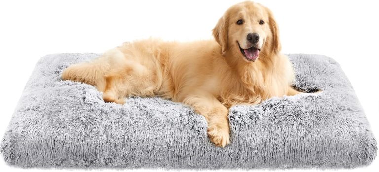 Feandrea Hundebett, Hundekissen, Flauschige Hundematte, Langer Plüsch, 122 x 74 cm, weiche Polsterung, waschbar, multifunktional, Ombré-Grau PGW204G0130,99€ statt 33,99€➡️ https://www.amazon.de/dp/B09TSZJW1B/?tag=preisfehlerheute-21