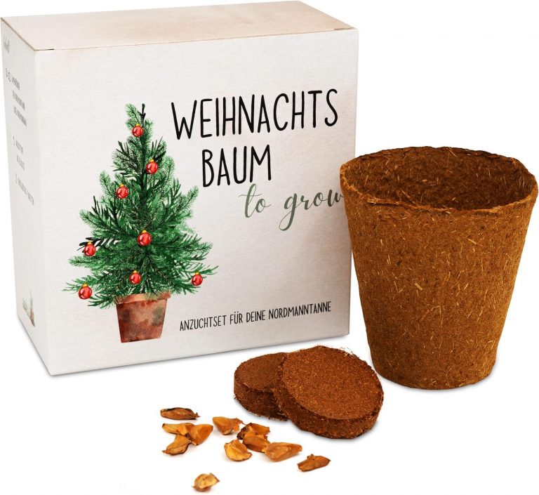 Tannenbaum Geschenk Set - Tannenbaum in der Dose Anzuchtset mit Kokostablette und Zellulose Topf - 8-10 Samen für 5 Tannenbäume Weihnachtsbaum Anzuchtset als Adventskalender Füllung6,79€ statt 7,99€➡️ https://www.amazon.de/dp/B0BF5SCYDZ/?tag=preisfehlerheute-21