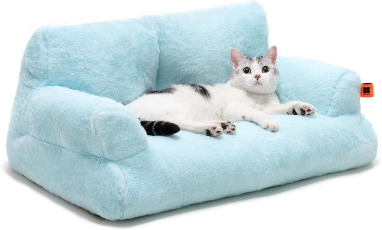 MEWOOFUN groß Katzenbett kleines Hundesofa Flauschig und waschbar Katzensofa Hundebett für Katzen, weich Katzenbett katzencouch mit Rutschfester Unterseite, blau 66x48cm16,99€ statt 37,99€➡️ https://www.amazon.de/dp/B0C5R3R5SW/?tag=preisfehlerheute-21