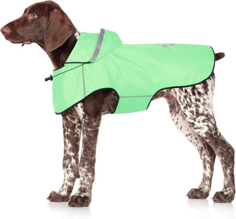 BiPawTi Hunderegenmantel Wasserdicht für Hunde, Reflektierenden Hunde-Regenjacken für Große Hund, Hundekleidung mit Verstellbarer Kapuze & Klettverschluss, Hund Regenmantel für Spaziergänge (L | Mint)12,99€ statt 23,99€➡️ https://www.amazon.de/dp/B0D5HL5FMW/?tag=preisfehlerheute-21