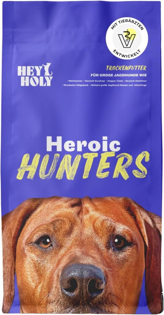 Black Desert kostenlos bei Steam: MMORPG für kurze Zeit gratis sichern