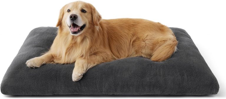BEDSURE Hundebett Waschbar Extra Groß - XXL Hundekissen Bett Beruhigende Hundematratze mit Rutschfestem Boden, XL Hund Warmes Kissen für Große Haustiere, Grau, 119x74x8cm28,17€ statt 38,99€➡️ https://www.amazon.de/dp/B0DQQ2XX7W/?tag=preisfehlerheute-21