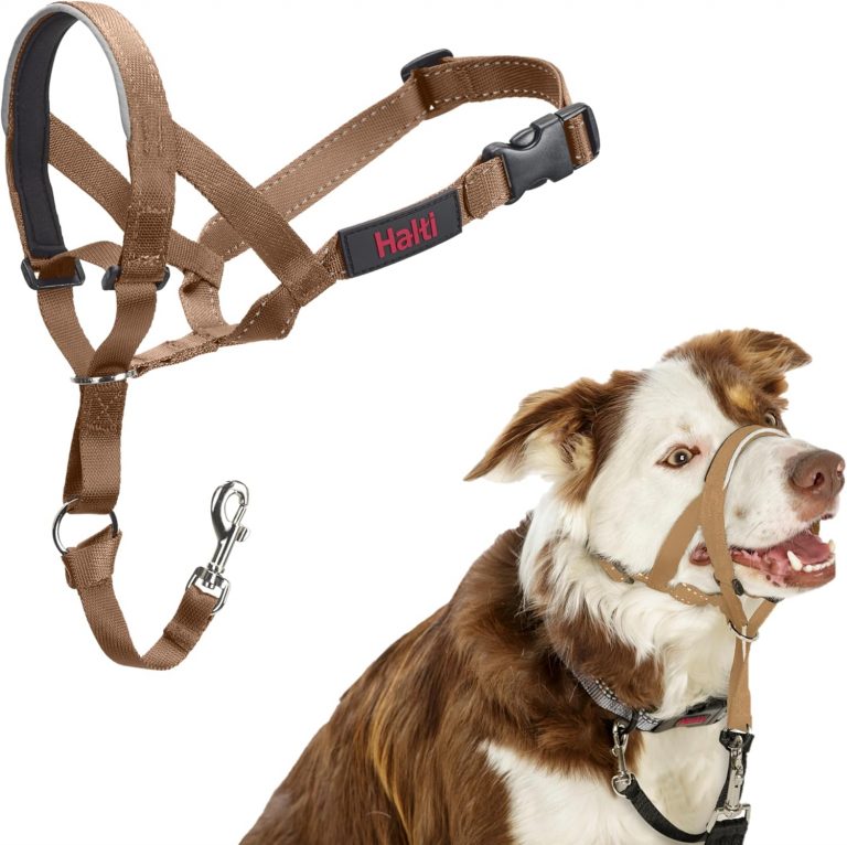 HALTI Kopfgeschirr - Verhindert, dass Ihr Hund an der Leine zieht, Einfache Anpassung, Leicht, mit gepolstertem Nasenriemen, Anti-Zug-Halsband für mittelgroße Hunde (Größe 2, Wüstensand)10,64€ statt 17,97€➡️ https://www.amazon.de/dp/B0CXHV2DW7/?tag=preisfehlerheute-21