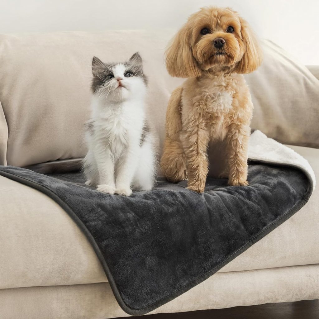 👑 Dreamzie – wasserdichte Decke 63×88 cm – Hundedecke Sofa und Bett – Reversible Decke Wasserdicht aus Sherpa-Fleece – Waschbar – Dunkelgrau10,99€ statt 14,99€ – 27,0 🔥🚚 Verkauft von BMS Deutschland und Versand durch Amazon216 Bewertungen: 4.5 / 5.0 ⭐️⭐️⭐️⭐️⭐️🛒 zu Amazon https://www.amazon.de/dp/B0DSJDK923/?th=1&tag=preisfehlerheute-21#038;psc=1&tag=preisfehlerheute-21