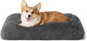 BEDSURE Flauschiges Hundebett mittelgro&szlig;e Hunde - 74x53x8 cm Hundebett waschbar, rutschfeste Unterseite, Dunkelgrau20,51&euro; statt 26,99&euro;➡️ https://www.amazon.de/dp/B0CYBNZZL4/?tag=preisfehlerheute-21