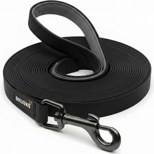 Logitel: Nintendo Switch 2 Black inkl. Mario Kart World (256 GB) + 35,00 &euro; LogiTel Cashback + Vodafone Smart Entry 25 GB 5G f&uuml;r 29,99 &euro; / Monat + 1,00 &euro; einmaligDamit landet ihr bei effektiv 4,45 &euro; pro Monat f&uuml;r den Vertrag.