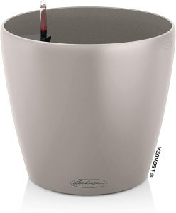 🤴 LECHUZA CLASSICO Color 28 sandbraun 1319322,99€ statt 34,99€ - 35,00 % 🔥🚚 Verkauft durch Amazon und Versand durch Amazon7,215 Bewertungen: 4.6 / 5.0 ⭐️⭐️⭐️⭐️⭐️🛒 zu Amazon https://www.amazon.de/dp/B08S78WYKM/?th=1&%3Bpsc=1&%3Btag=preisfehlerheute-21&tag=preisfehlerheute-21