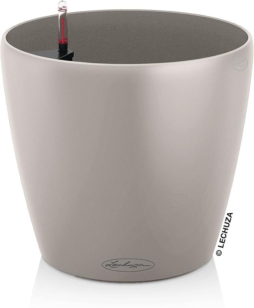 🤴 LECHUZA CLASSICO Color 28 sandbraun 1319322,99€ statt 34,99€ - 35,00 % 🔥🚚 Verkauft durch Amazon und Versand durch Amazon7,215 Bewertungen: 4.6 / 5.0 ⭐️⭐️⭐️⭐️⭐️🛒 zu Amazon https://www.amazon.de/dp/B08S78WYKM/?amp%3Btag=preisfehlerheute-21&%3Bamp%3Bth=1&%3Bamp%3Bpsc=1&tag=preisfehlerheute-21