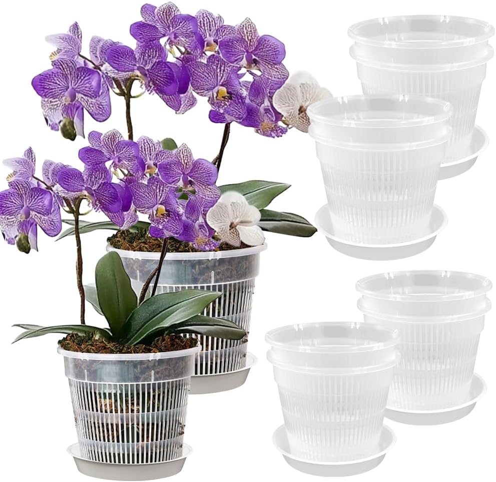 JNEYVIC 10 Stück Orchideentopf Transparent 14cm/16cm Pflanzentöpfe Durchsichtig Blumentöpfe Orchideen Übertopf Plastik Orchideentöpfe Pflanztopf für Sukkulenten Indoor Outdoor Balkon Schreibtisch3.99€ statt 17.99€➡️ https://www.amazon.de/dp/B0FVFFXCWT/?tag=preisfehlerheute-21
