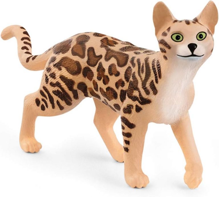 SCHLEICH 13918 Bengal Katze, für Kinder ab 3+ Jahren, Farm World - Spielfigur2,49€ ➡️ https://www.amazon.de/dp/B08HSG26SX/?tag=preisfehlerheute-21