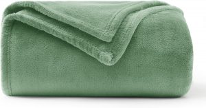 WAVVE Kuscheldecke Flauschig Decke Fleecedecke - Sofadecke Klein Wohndecke Couchdecke, Decke Sofa Weich Grün, Leicht Sofaüberwurf 130x150 cm12,74€ statt 14,99€➡️ https://www.amazon.de/dp/B0CBP8RN6J/?tag=preisfehlerheute-21