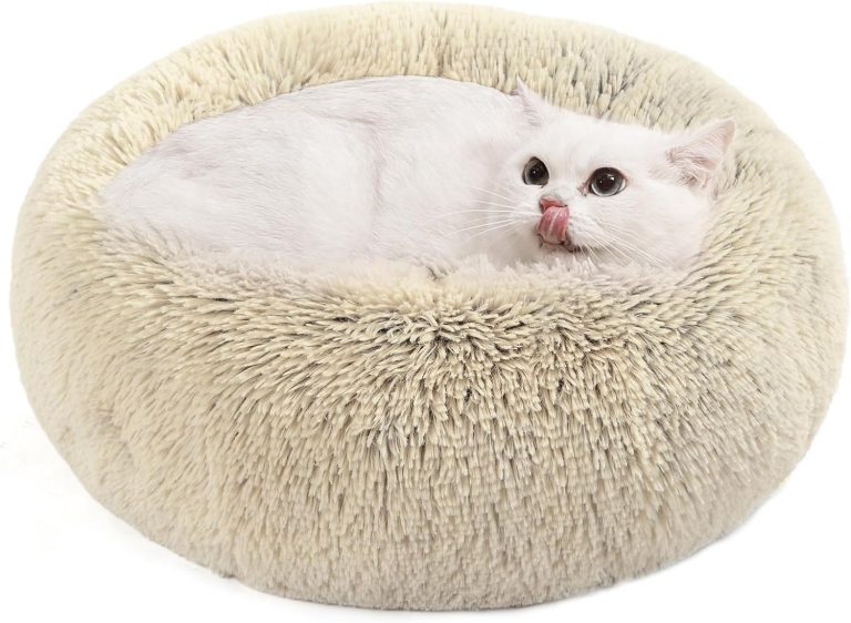 🤴 Feandrea Hundebett flauschig, Katzenbett, Donut Kissen, waschbar, Polsterung in der Mitte herausnehmbar, Langer Plüsch, 50 cm Durchmesser, Ombré-Khaki PGW037S0112,59€ statt 16,98€ - 26,00 % 🔥🚚 Verkauft von Songmics und Versand durch Amazon21,785 Bewertungen: 4.4 / 5.0 ⭐️⭐️⭐️⭐️🛒 zu Amazon https://www.amazon.de/dp/B08FYB3JQ6/?amp%3Btag=preisfehlerheute-21&tag=preisfehlerheute-21