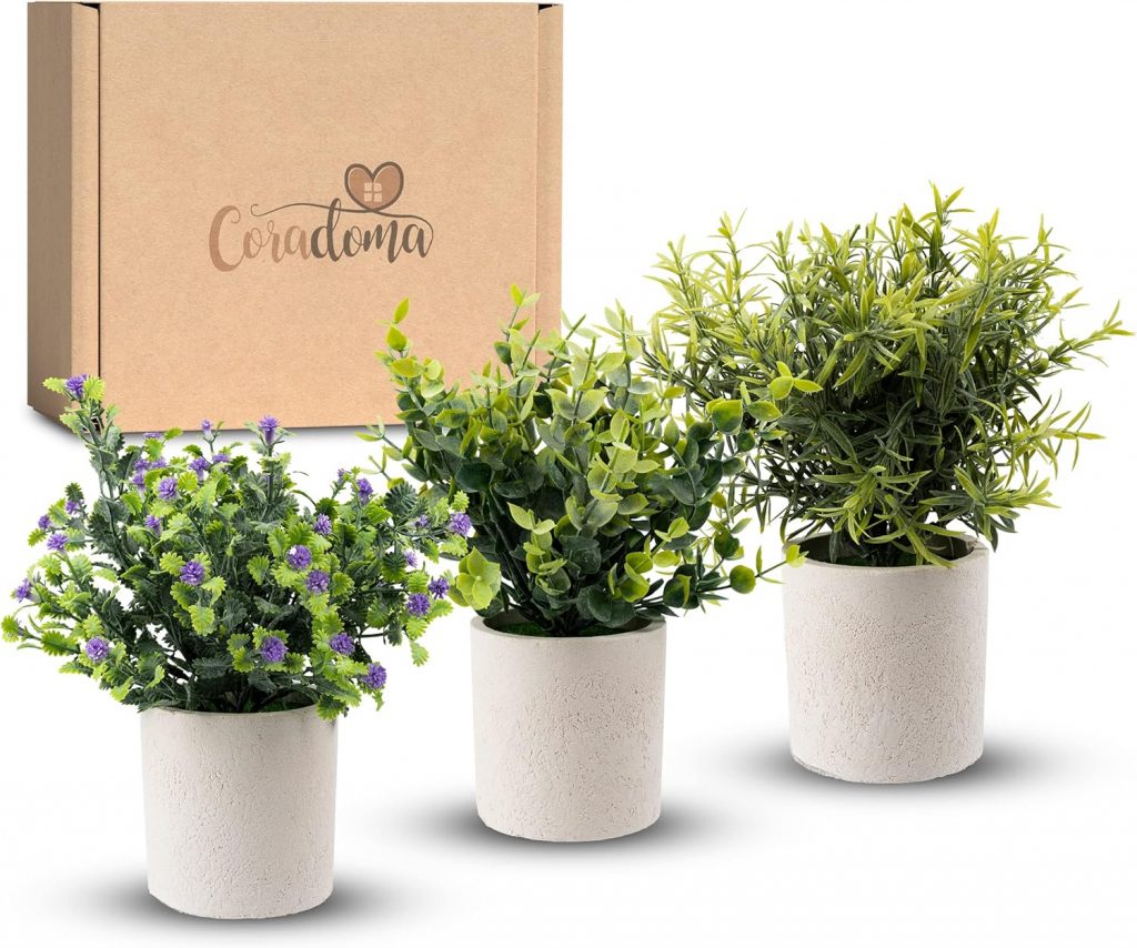 Coradoma Künstliche Pflanzen 3er Set Dekoration Kunstpflanzen im weißen Topf | Wohnzimmer Deko modern Küchendeko | Kunstblume Sukkulente Fensterbank Schreibtisch Wanddeko Büro Schlafzimmer9,99€ ➡️ https://www.amazon.de/dp/B0BQFS4N2V/?tag=preisfehlerheute-21