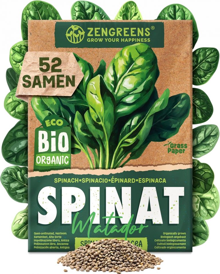 ZenGreens® - Bio Spinat Samen - Spinatsamen - Gemüsesamen für den einfachen Anbau im Garten, Balkon oder Hochbeet - Gemüse Saatgut - Matador0,99€ statt 1,99€➡️ https://www.amazon.de/dp/B0DVSPW8PB/?tag=preisfehlerheute-21