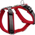 🤴 HUNTER Geschirr Maldon 34-49/XS27,69€ statt 38,99€ - 29,00 % 🔥🚚 Verkauft durch Amazon und Versand durch Amazon546 Bewertungen: 4.4 / 5.0 ⭐️⭐️⭐️⭐️🛒 zu Amazon https://www.amazon.de/dp/B081D538C3/?amp%3Btag=preisfehlerheute-21&amp%3Bth=1&amp%3Bpsc=1&tag=preisfehlerheute-21