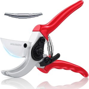 👑 Gartenschere &ndash; 4&times; sch&auml;rfer, japanische SK5 Hochkohlenstoffstahlklinge, Bypass-Schneide, 25 mm Schnittdurchmesser, f&uuml;r trockenes, frisches Holz, doppelte Antihaft-Beschichtung, Rosenschere18,66&euro; statt 29,99&euro; - 38,00 % 🔥🚚 Verkauft von SOLODOTOLIFE und Versand durch Amazon1,045 Bewertungen: 4.6 / 5.0 ⭐️⭐️⭐️⭐️⭐️🛒 zu Amazon https://www.amazon.de/dp/B0DCZFV7SV/?tag=preisfehlerheute-21