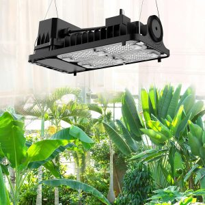 🤴 SANSI 100W LED Pflanzenlampe f&uuml;r Zimmerpflanzen, 1000W &Auml;quiv, 2x4ft Grow Lampe Vollspektrum Dimmbares Wachstumslicht mit optischer Linse f&uuml;r hohe PPFD, energiesparendes Pflanzenlicht55,99&euro; statt 79,98&euro; - 31,00 % 🔥🚚 Verkauft von ISC Lighting Direct und Versand durch Amazon124 Bewertungen: 4.3 / 5.0 ⭐️⭐️⭐️⭐️🛒 zu Amazon https://www.amazon.de/dp/B0BF49HG25/?th=1&amp%3Bpsc=1&amp%3Btag=preisfehlerheute-21&tag=preisfehlerheute-21