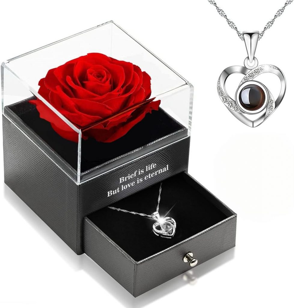 GPNNP Valentinstag Romantisch Geschenk für Sie Fraue,925 Silber mit Halskette…