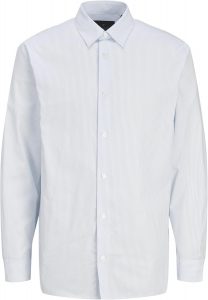 Jprblabushwick Stanley Shirt L/S Sn